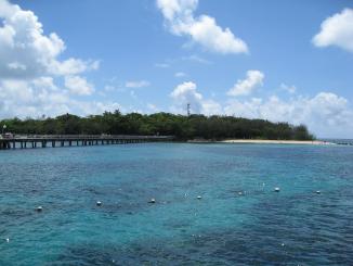 Day 09 - Tropical Island